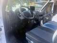 Renault Master GRAND VOLUME 20M3 BACHE 2.3 dCi 170 BOITE AUTO TRES PROPRE 1ERE MAIN -11000HT Blanco - thumbnail 6