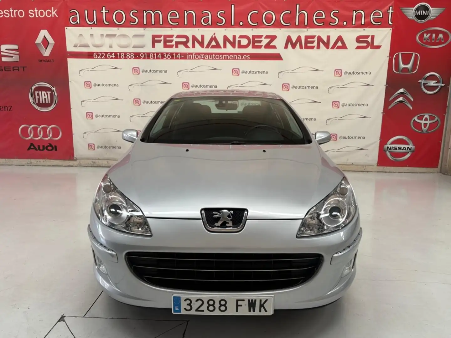 Peugeot 407 2.0 Sport Gris - 2