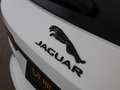 Jaguar XF D200 SB R-Dynamic Black AWD Aut LED AHK LEDER Bílá - thumbnail 7