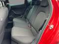 SEAT Ibiza Xcellence 1.0 TSI NAVI APP GRA KESSY Rot - thumbnail 7