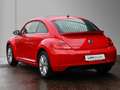 Volkswagen Beetle 1.4 TSI Design Klima/SHZ/Pano Roşu - thumbnail 3