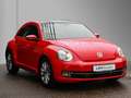 Volkswagen Beetle 1.4 TSI Design Klima/SHZ/Pano Roşu - thumbnail 2