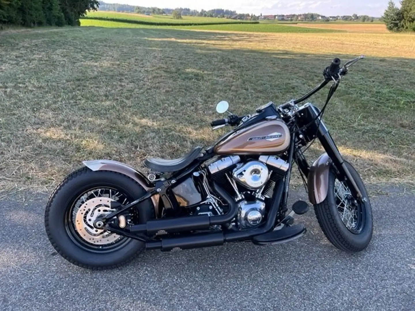 Harley-Davidson Softail Slim Brązowy - 1