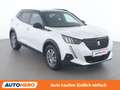 Peugeot 2008 1.5 Blue-HDi GT Line Weiß - thumbnail 8