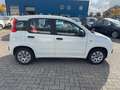 Fiat Panda Pop Blanco - thumbnail 6