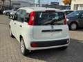 Fiat Panda Pop Blanco - thumbnail 4