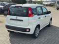 Fiat Panda Pop Blanco - thumbnail 3