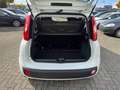 Fiat Panda Pop Blanco - thumbnail 9