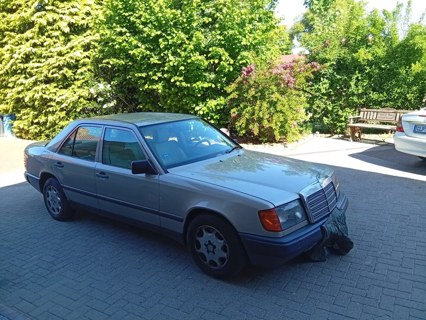Mercedes-Benz 250 - 2