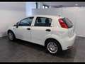 Fiat Punto 1.2 Young c/navi,radio 5p Bianco - thumbnail 2