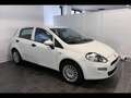 Fiat Punto 1.2 Young c/navi,radio 5p Blanc - thumbnail 4