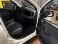 Fiat Panda Panda III 2022 1.0 firefly hybrid City Life s Blanco - thumbnail 15