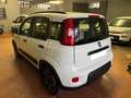 Fiat Panda Panda III 2022 1.0 firefly hybrid City Life s Blanco - thumbnail 4