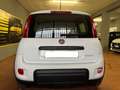 Fiat Panda Panda III 2022 1.0 firefly hybrid City Life s Blanco - thumbnail 5