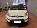 Fiat Panda Panda III 2022 1.0 firefly hybrid City Life s Blanco - thumbnail 2