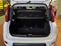 Fiat Panda Panda III 2022 1.0 firefly hybrid City Life s Blanco - thumbnail 10
