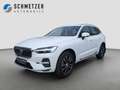 Volvo XC60+T8+AWD+GT+Recharge+Inscription+Panorama+LED Bianco - thumbnail 1