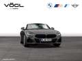 BMW Z4 M40i HiFi RFK Tempomat Grau - thumbnail 10