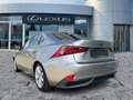 Lexus IS 300 h Luxury Line Schiebedach*Navi*KAM*DAB Silber - thumbnail 6
