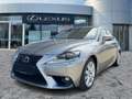 Lexus IS 300 h Luxury Line Schiebedach*Navi*KAM*DAB Срібний - thumbnail 2