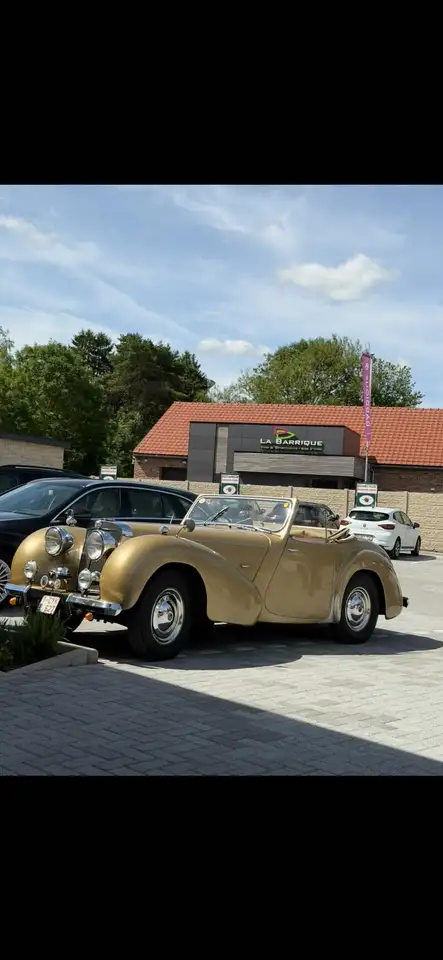 Triumph, foto 7