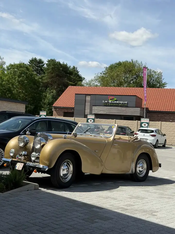 Triumph, foto 12