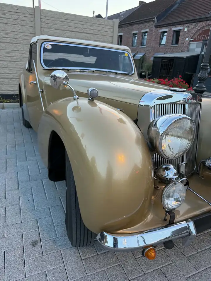 Triumph, foto 6