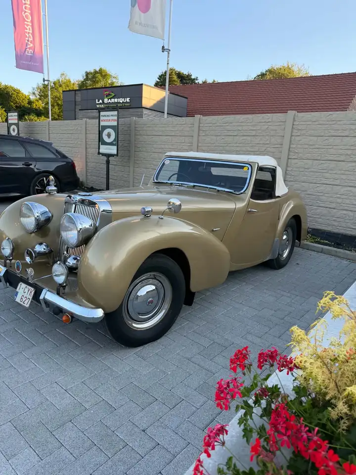 Triumph, foto 11