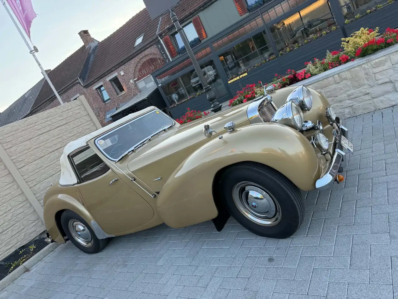 Triumph, foto 10