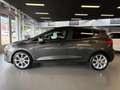 Ford Fiesta 1.0 EcoBoost Vignale Gris - thumbnail 4