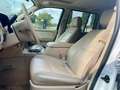 Ford Explorer Explorer undefined Білий - thumbnail 8