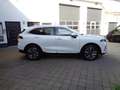 GWM WEY 03 Luxury 4WD mit Glas. Winter- Sitzkomf. Paket Weiß - thumbnail 3