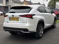 Lexus NX 300h AWD Luxury Line | Groot Scherm, Adaptive cruise co Blanc - thumbnail 5