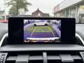 Lexus NX 300h AWD Luxury Line | Groot Scherm, Adaptive cruise co Blanc - thumbnail 29