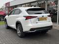 Lexus NX 300h AWD Luxury Line | Groot Scherm, Adaptive cruise co Blanc - thumbnail 8