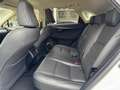 Lexus NX 300h AWD Luxury Line | Groot Scherm, Adaptive cruise co Blanc - thumbnail 18