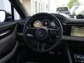Porsche Macan Macan Turbo E BURMESTER-PAS. DISPLAY-LEDER BEIGE Noir - thumbnail 23
