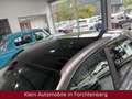 smart forFour 66kW Aut Passion Panorama Klimatr SHZ LM Grau - thumbnail 4