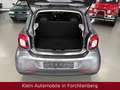 smart forFour 66kW Aut Passion Panorama Klimatr SHZ LM Grau - thumbnail 13