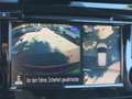 Nissan Qashqai 1.3 DIG-T Akari Panorama 360° Spurhalter Rot - thumbnail 12