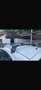 Fiat Panda 1.2 Dynamic Gpl Bianco - thumbnail 9