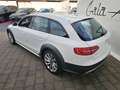 Audi A4 allroad Quattro 2.0TDI Advanced s-tronic Bianco - thumbnail 3