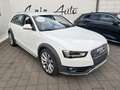 Audi A4 allroad Quattro 2.0TDI Advanced s-tronic Bianco - thumbnail 5