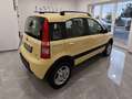 Fiat Panda Panda 1.3 mjt 16v 4x4 Giallo - thumbnail 5