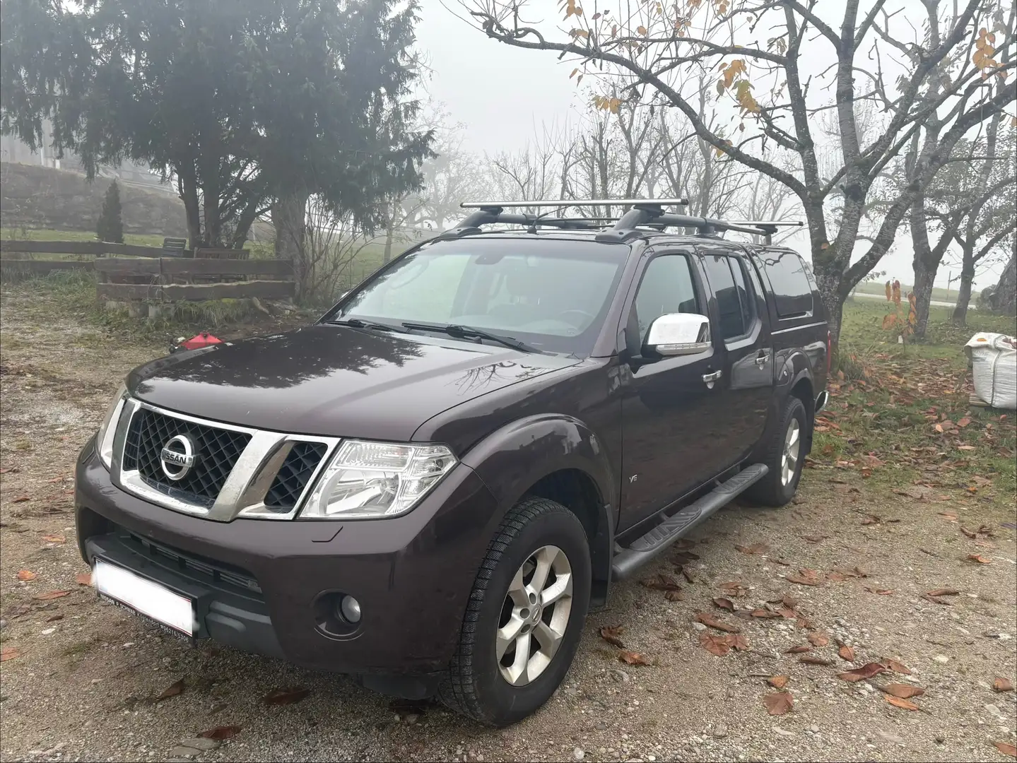 Nissan Navara D40 3,0 dci v6 Bruin - 1