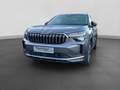 Skoda Kodiaq 2.0 TDI DSG SELECTION PANO HuD MATRIX ASS Grau - thumbnail 2