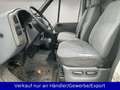 Ford Transit Kasten kurz 2.0 FT 260 Weiß - thumbnail 9