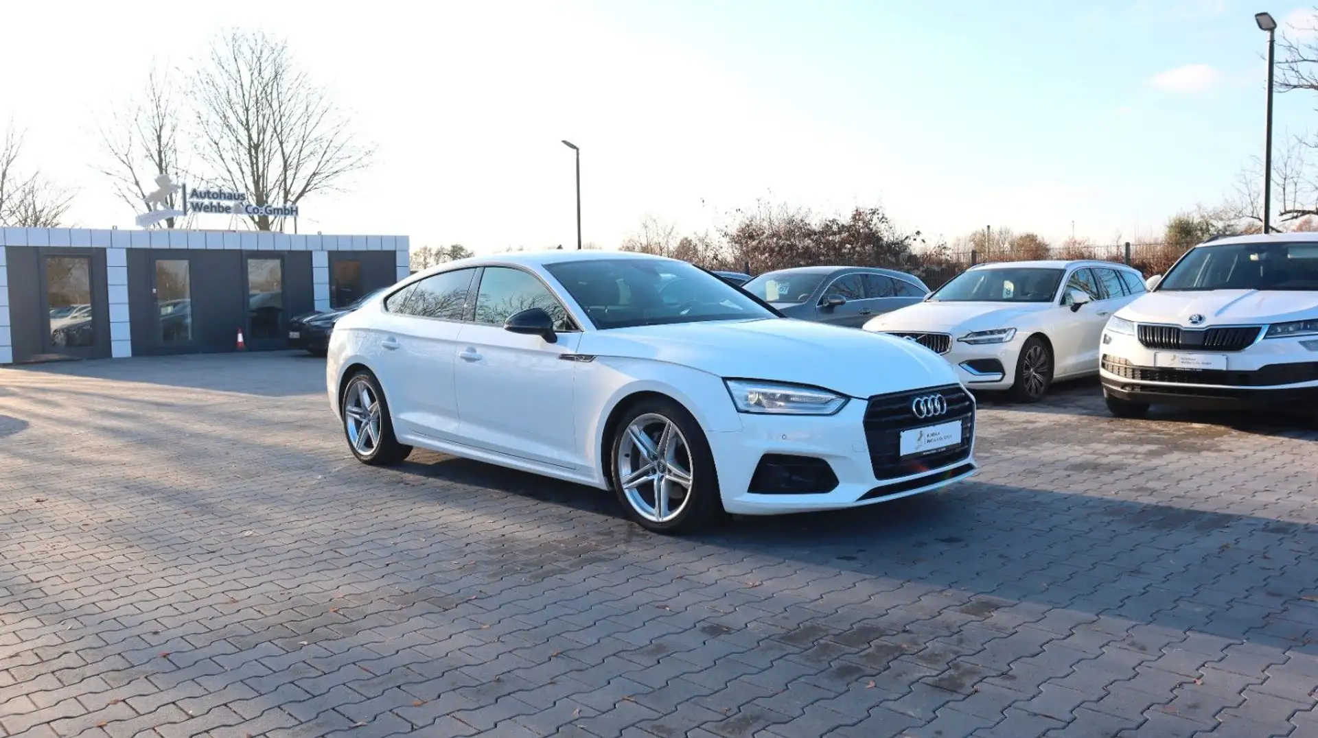Audi A5 Sportback 40 TDI S Line ACC Bi-Xenon MMI PDC Blanco - 1