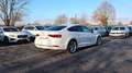 Audi A5 Sportback 40 TDI S Line ACC Bi-Xenon MMI PDC Blanco - thumbnail 6