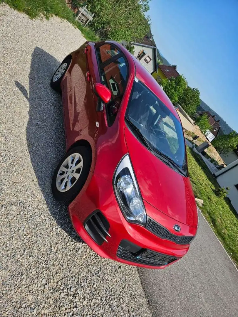 Kia Rio Rio 1,2 MPI Österreich Edition Österreich Rot - 1